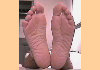 soles.jpg