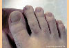 toe03.jpg